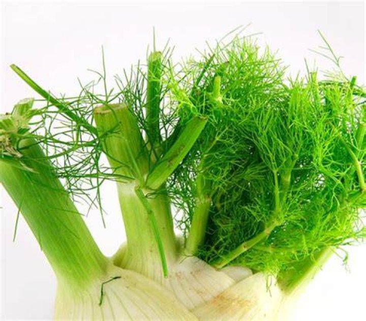 Step-by-Step Knife Skills: Exactly How to Core, Shave, and Slice Fresh Fennel