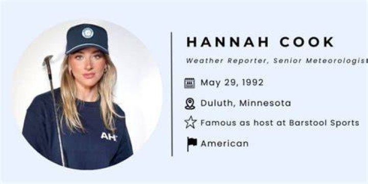 Hannah Cook Search Controversy: Key Questions, Verified Answers, and Context