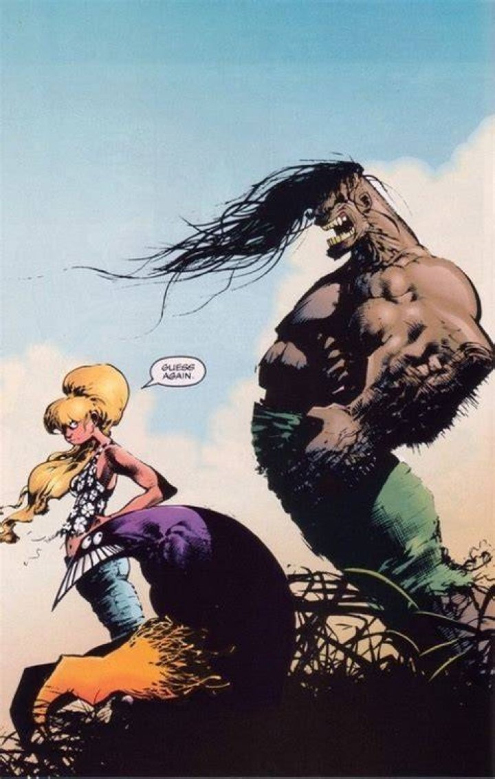 Julie's Pangea: Visual Symbolism and the Mindscapes of 'The Maxx'