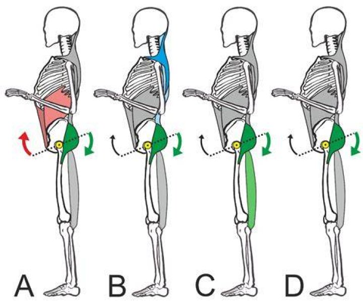 The Jackhammer Position Explained: Breaking Down the Form and Mechanics