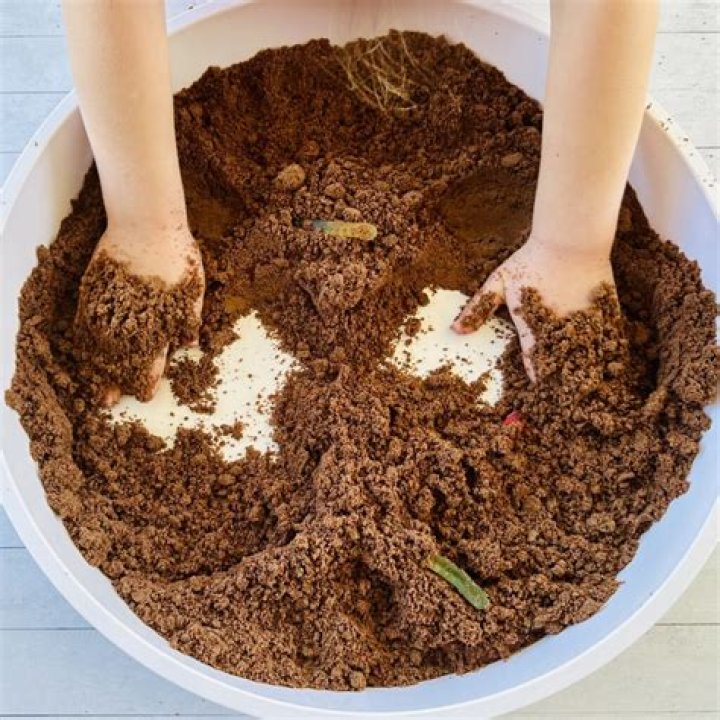Is Mud Actually Good for You? Your Complete Guide to Soil Health and Dirt Play