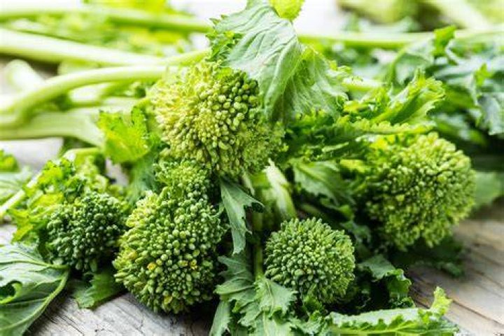 Broccoli Rabe vs Broccolini Fact-Check: Are They Even Related to Real Broccoli?