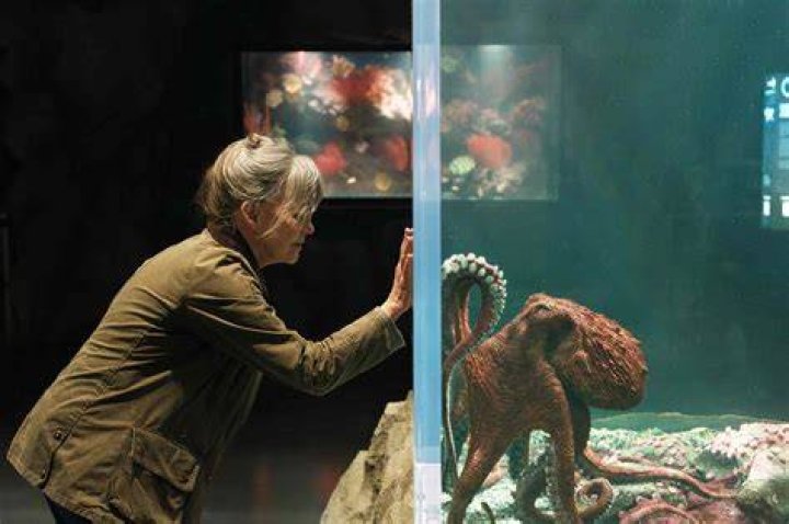 Netflix Drops Official 'Remarkably Bright Creatures' Trailer and Cast Reveal